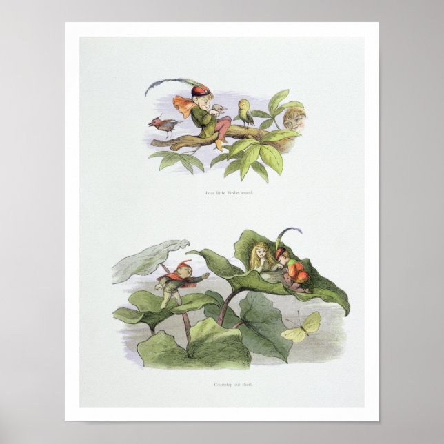 Poster Pobre passarinho provocado, e a corte de coragem (Frente)