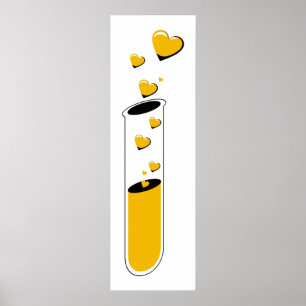 Póster poção do amor