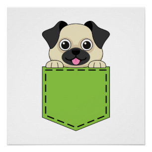 Póster Pocket Pet Cog