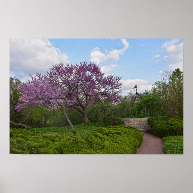 Poster Poço de Desejos e Árvores de Red Bud (Frente)