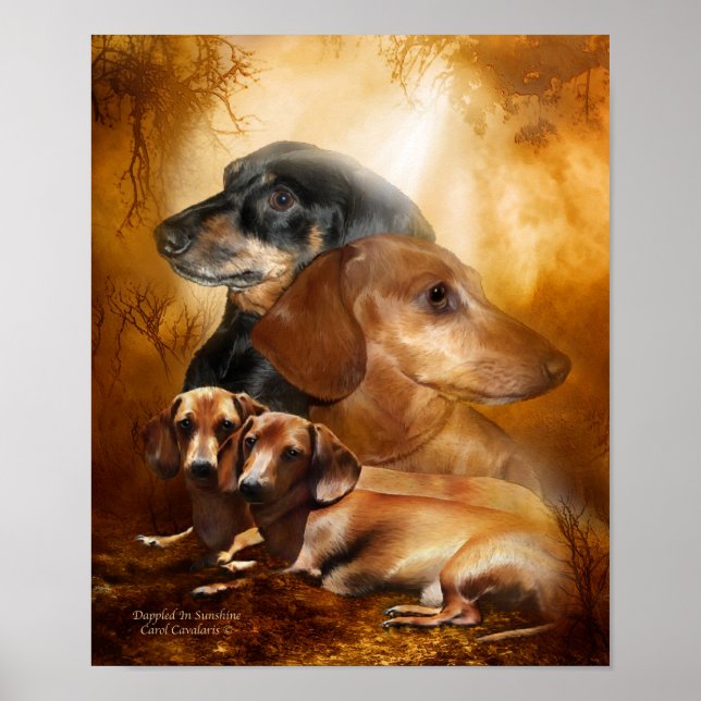 Poster Poços - Deplorados Em Poster/Impressão (Frente)