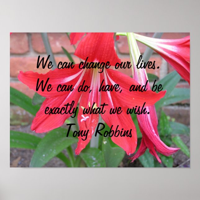 Poster Podemos mudar nossas vidas. (Frente)