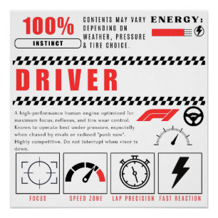 Póster Poder da Equipe de Pit – 100% Piloto