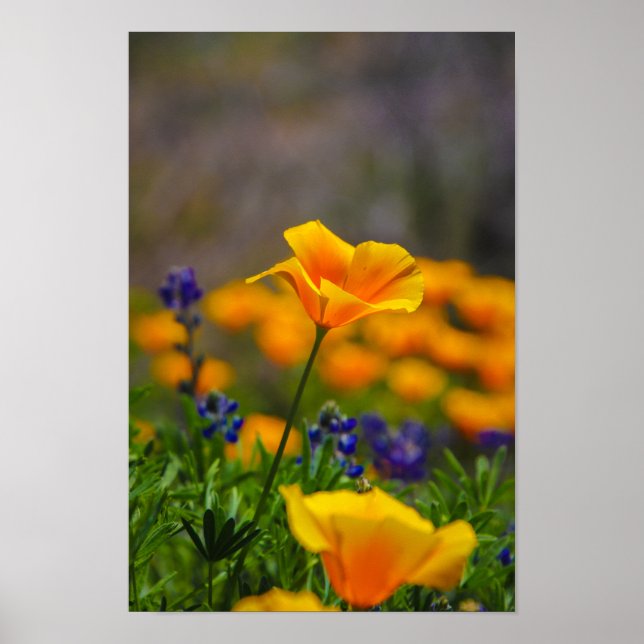 Poster poder florista (Frente)