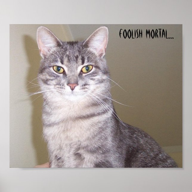 Póster Poderoso Felino, idiota mortal... (Frente)