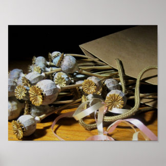 Póster Pods De Flores Secos