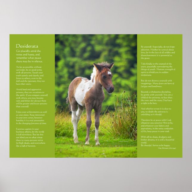 Póster Poema de Desiderata - Pé de Pony Dartmoor Permanen (Frente)