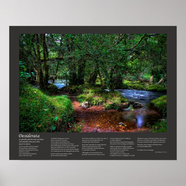 Poster Poema De Desiderata - Voa Silenciosamente O Rio (Frente)