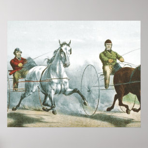 Poster Poesia SUPERIOR do cavalo