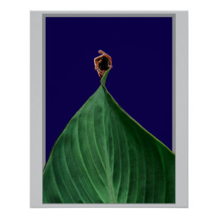Póster Poético Verde Orgânico Folha Estética Natural