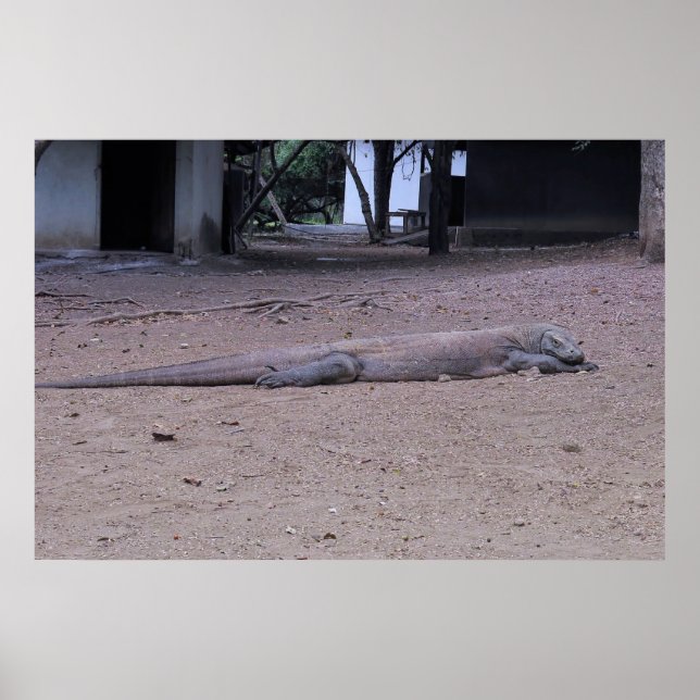 Poster Poing Dragon (Frente)