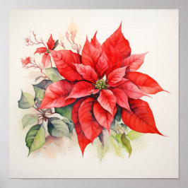 Poster Poinsettia