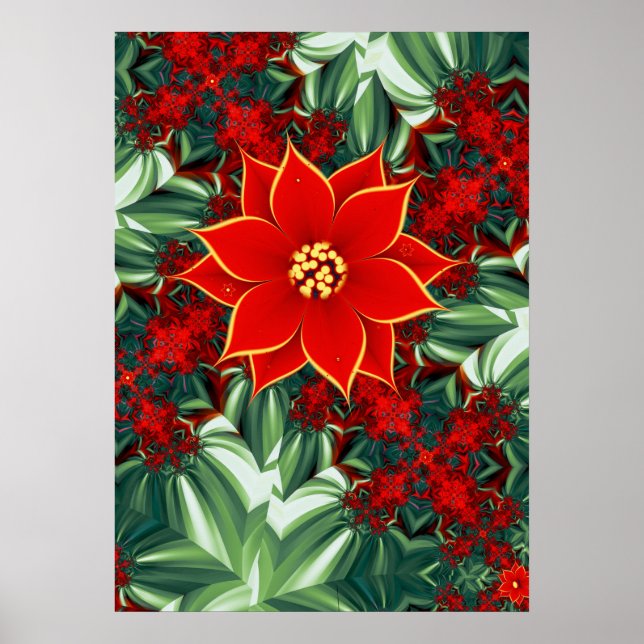 Poster Poinsettia Antiga (Frente)