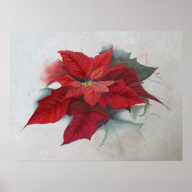 Poster Poinsettia — Pintura de Natal (Frente)