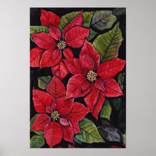 Poster Poinsettia Vibrante Em Aquarela