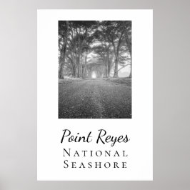 Poster Point Reyes