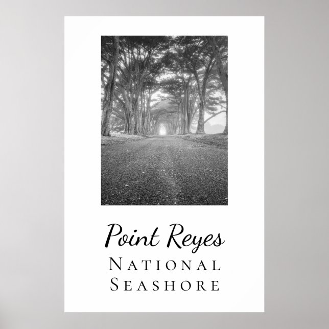 Poster Point Reyes (Frente)
