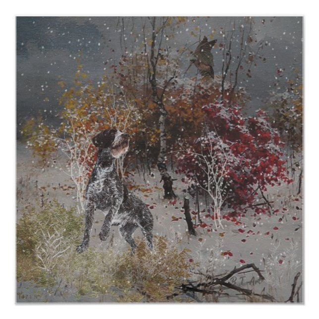 Póster Pointer Alemão de Pelo Cabeludo com narceja no inv (Frente)