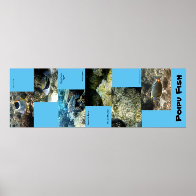 Póster Poipu Fish (Frente)