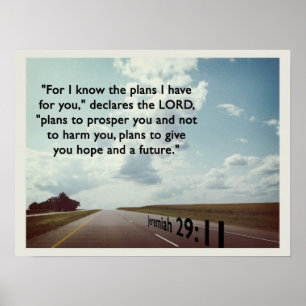 Póster Pois eu sei os planos...