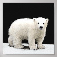 Polar Bear Cub Painting - Arte Original