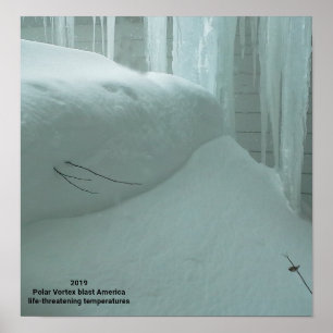 POSTER POLAR VORTEX ATINGE A AMÉRICA 2019