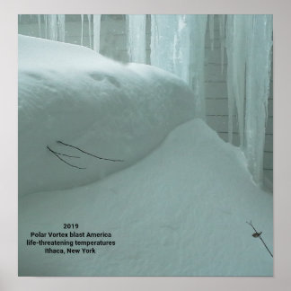 POSTER POLAR VORTEX HITS ITHACA NEW YORK 2019