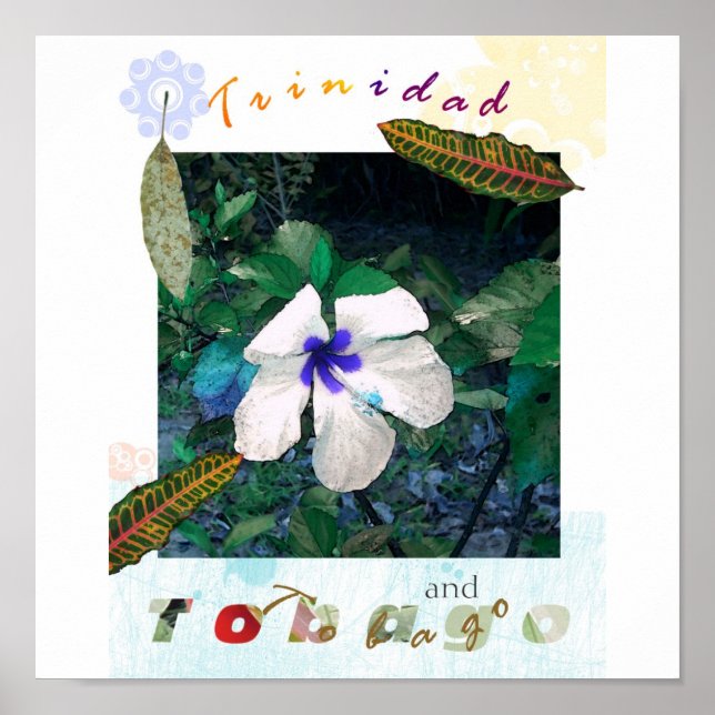 Póster pólen azul zazzle (Frente)