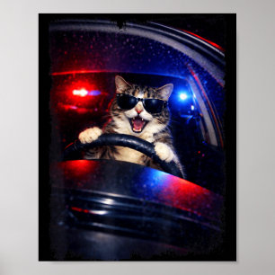 Poster Polícia engraçada gato louco dirigindo carro engra