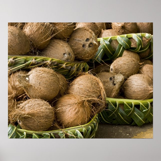 Póster Polinésia, Reino de Tonga. Exibição de cocos (Frente)