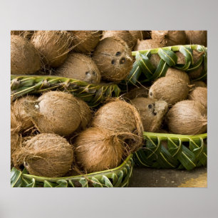 Póster Polinésia, Reino de Tonga. Exposição de cocos