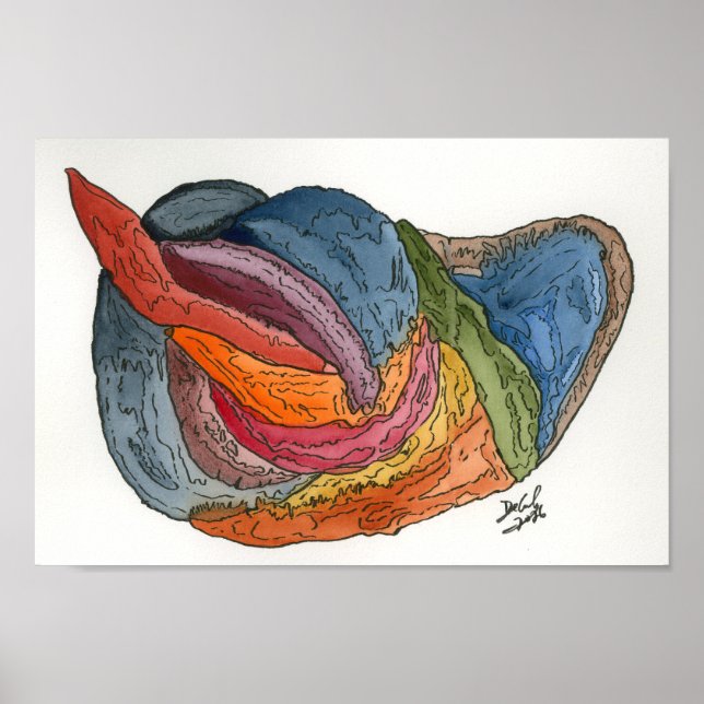 Poster Pólo de rã (Frente)