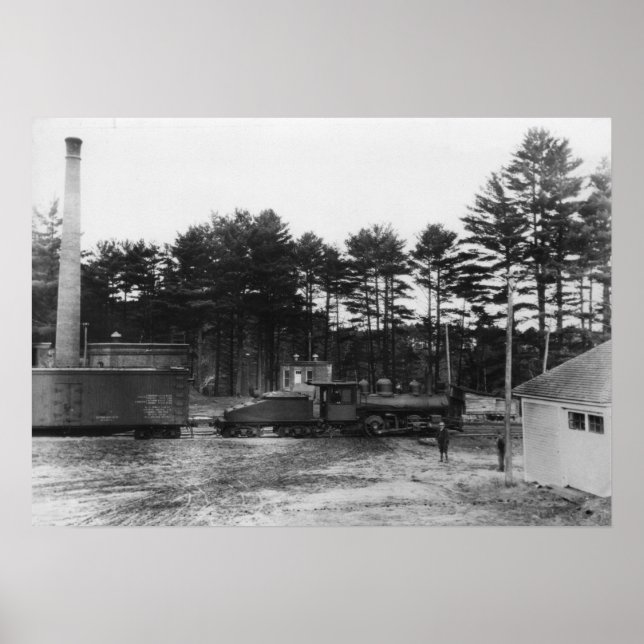 Póster Polônia Primavera Railroad (Frente)