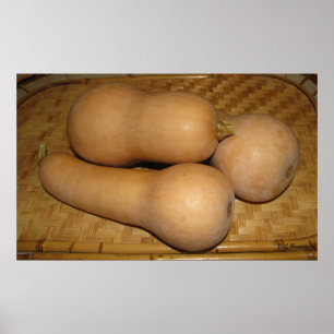 Póster Polpa de Butternut