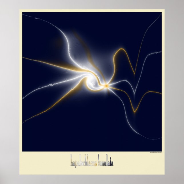 Póster polvo do anel azul (Frente)