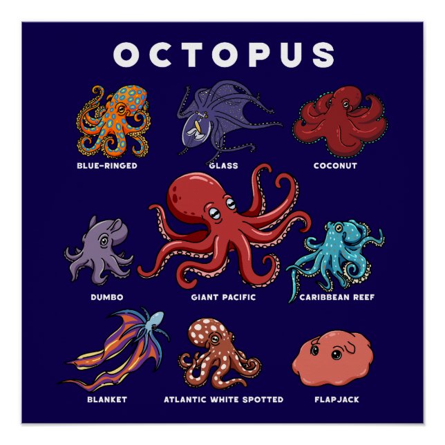 Póster Polvo Kawaii dos Mundos (Frente)