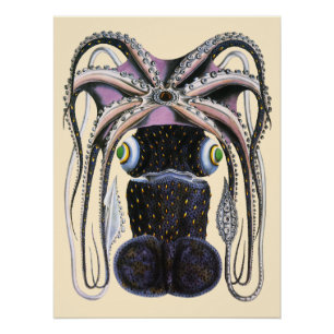 Póster Polvo ou Lula Gigante, Animal de Vida Marinha Anti