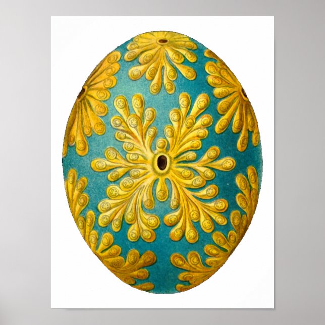 Póster Polyclinum constellatum Ernst Haeckel Belas Arte (Frente)