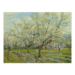Póster Pomar branco de Vincent Van Gogh