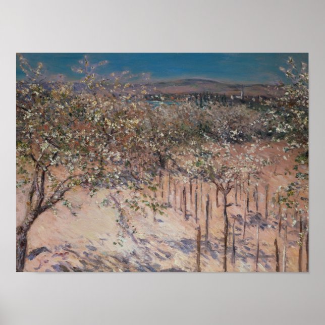 Póster Pomar com Árvores de Maçã Flores, Colombos (Frente)