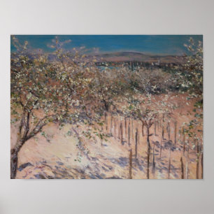 Póster Pomar com florescência de árvores de Apple,
