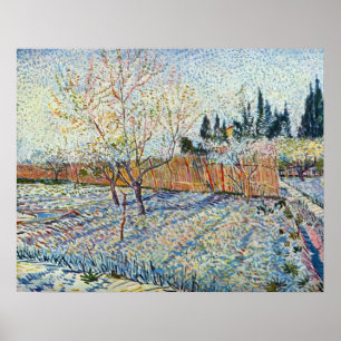 Póster Pomar com o cipreste por Vincent van Gogh
