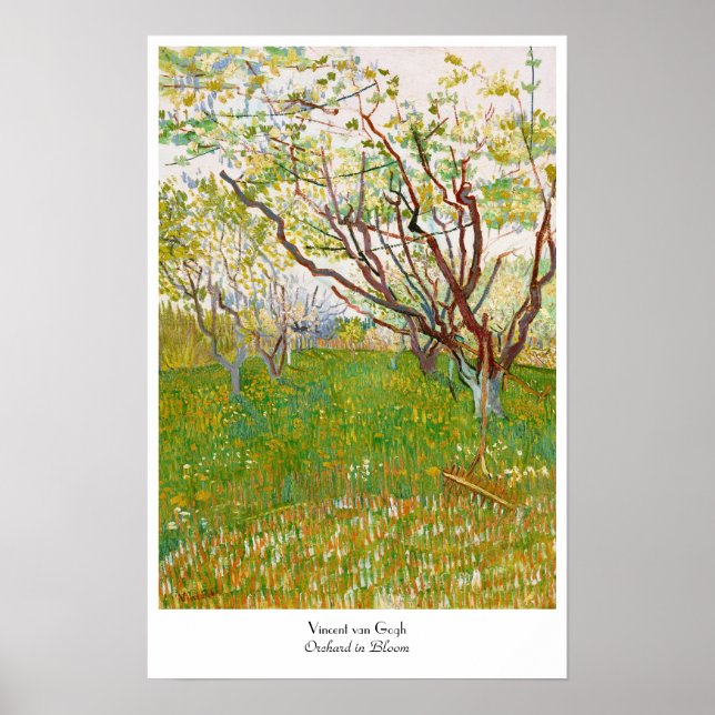 Póster Pomar em Bloom Vincent van Gogh de belas artes (Frente)
