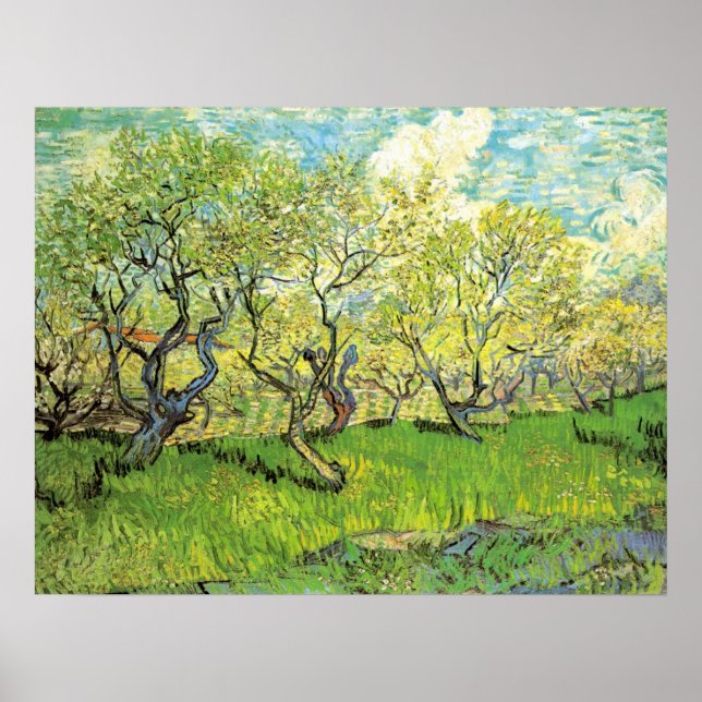 Póster Pomar em Blossom por Vincent van Gogh (Frente)