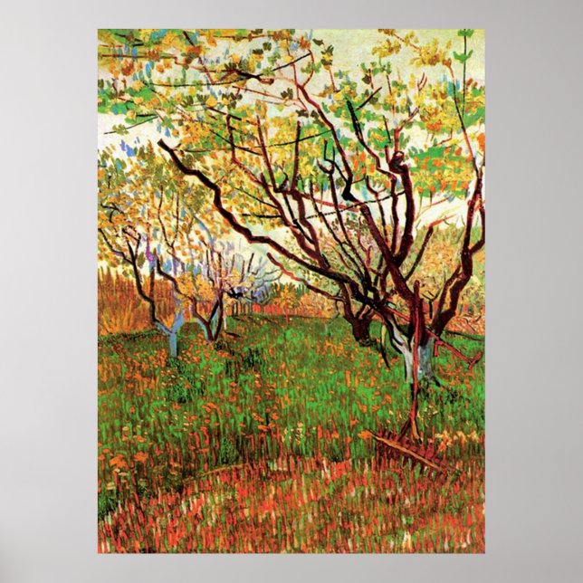 Poster Pomar em Blossom, Vincent van Gogh (Frente)