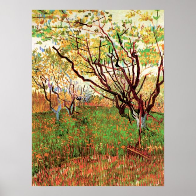 Poster Pomar em Flor por Vincent van Gogh (Frente)
