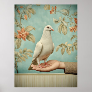 Poster Pomba Branca Pacífica