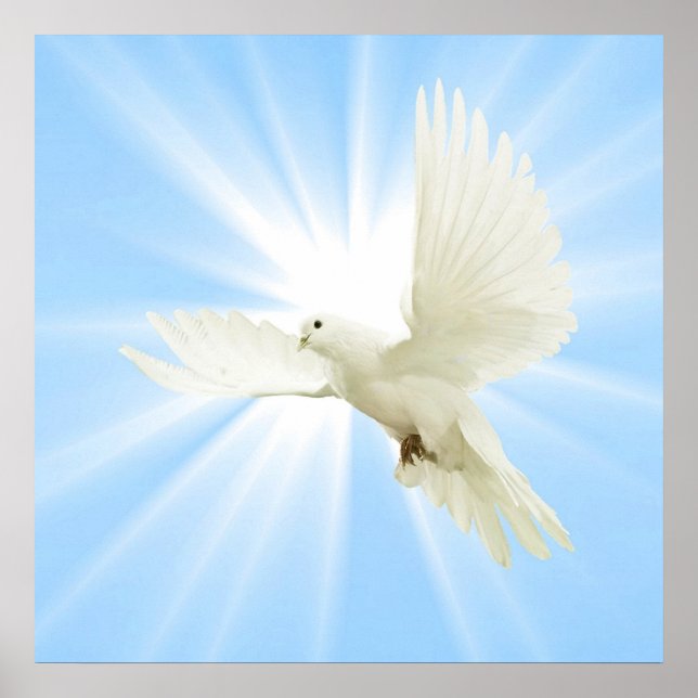 Póster Pomba voadora (Frente)
