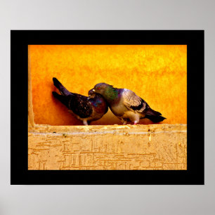 Poster Pombo