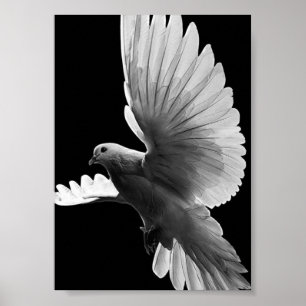 Poster Pombo Branco